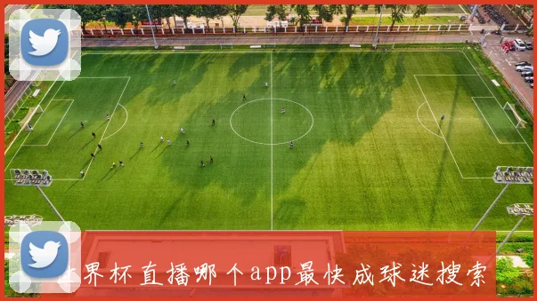 世界杯直播哪个app最快成球迷搜索热点,观看体验受关注